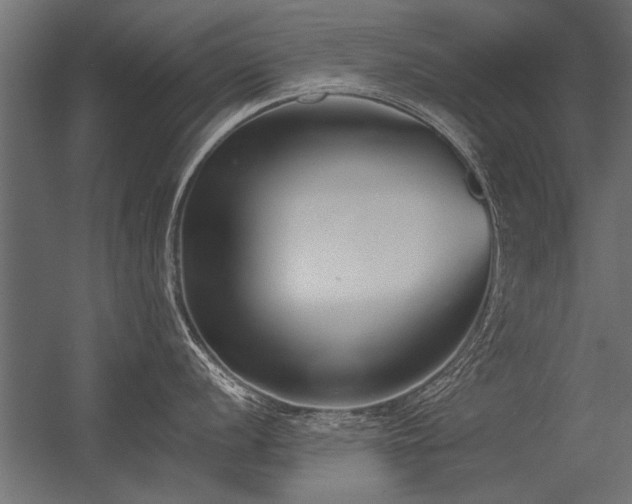 X0000056361056200509021743