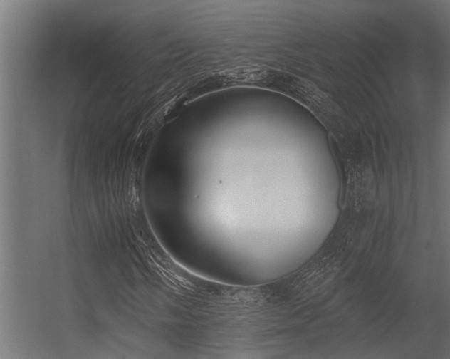 X0000056361058200509021742