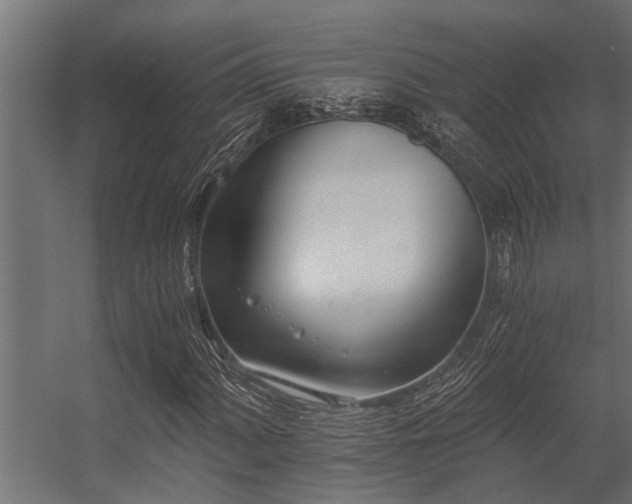 X0000056361060200509021742