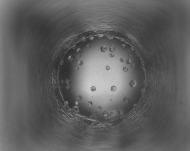 X0000056361063200509021742