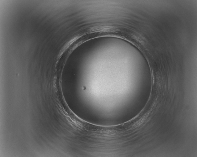 X0000056361066200509021742