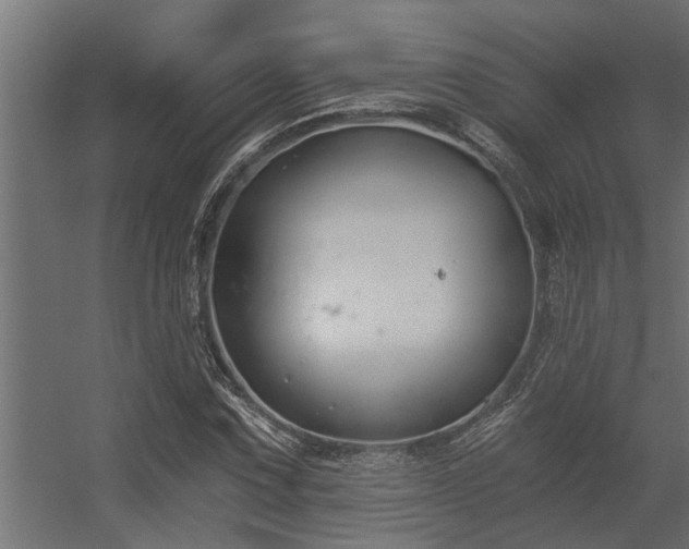 X0000056361067200509021742