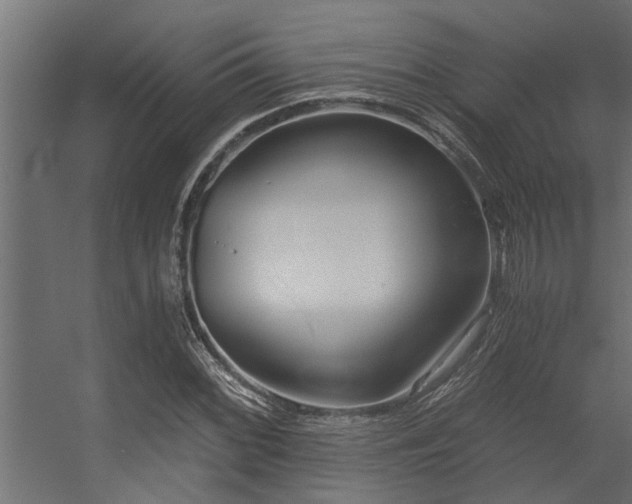 X0000056361068200509021742