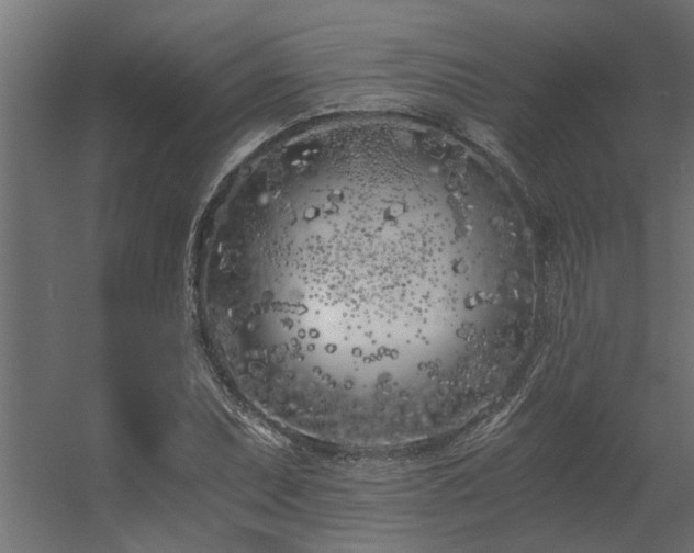 X0000056361071200509021742