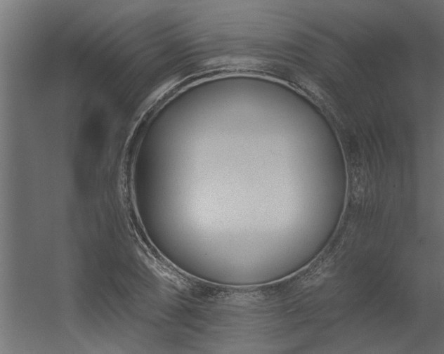 X0000056361074200509021742