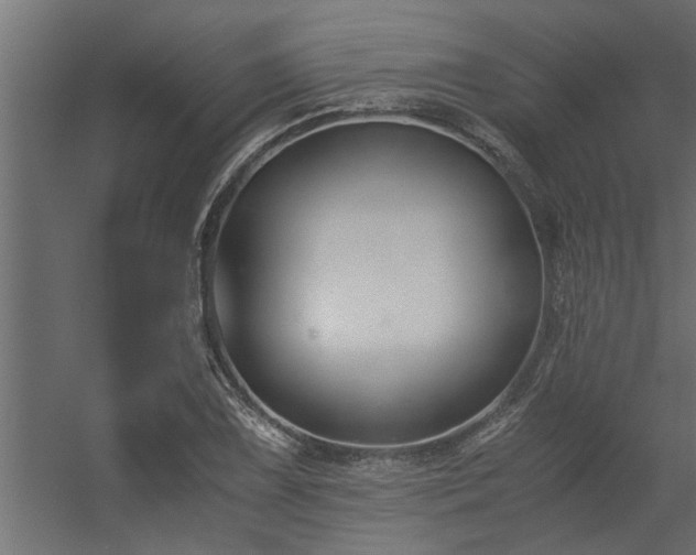 X0000056361075200509021742