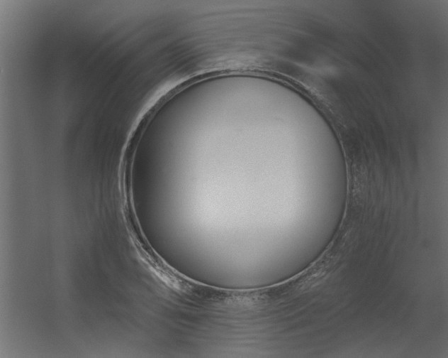 X0000056361078200509021742