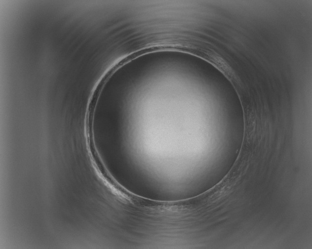 X0000056361084200509021742