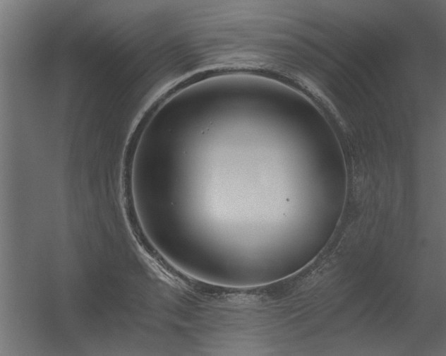 X0000056361085200509021742