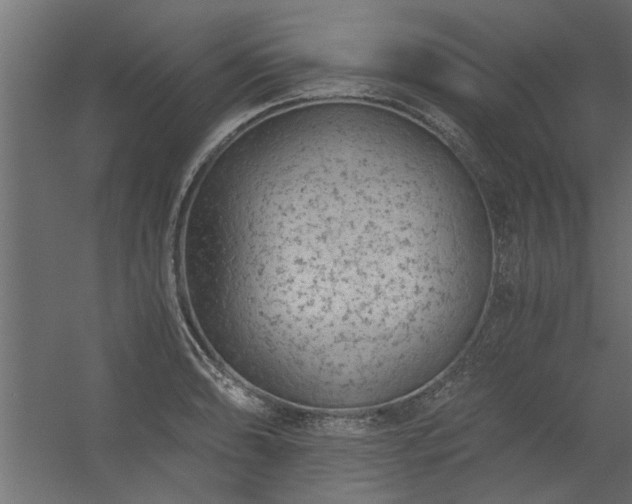 X0000056361086200509021742