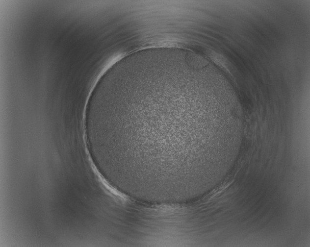 X0000056361087200509021742