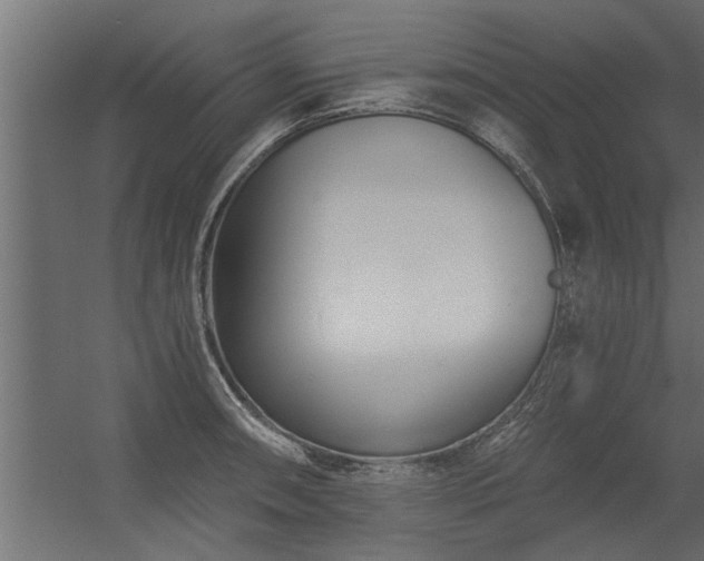 X0000056361090200509021742