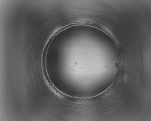 X0000056361091200509021741