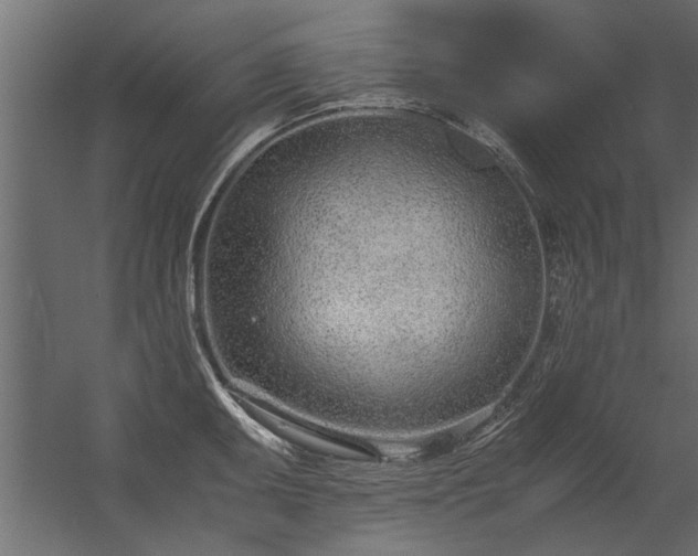 X0000056361095200509021741