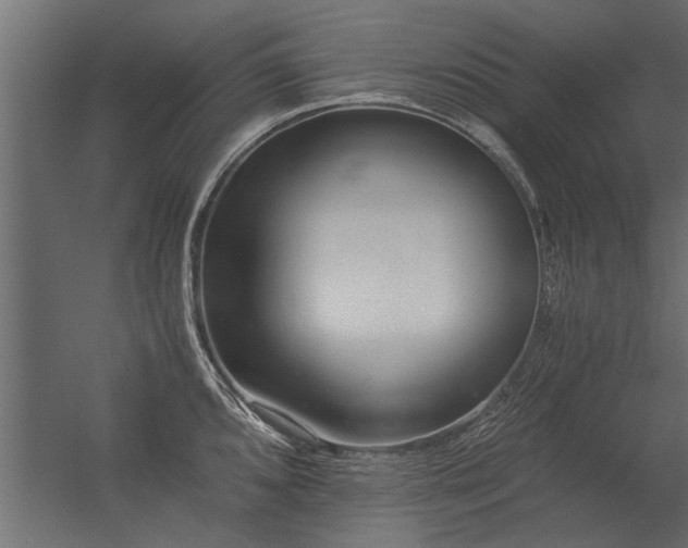 X0000056361096200509021741