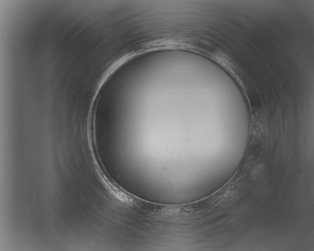 X0000056361098200509021741