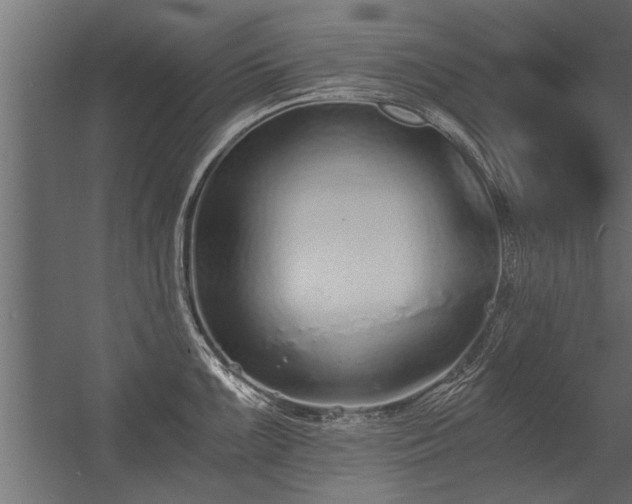 X0000056361099200509021741