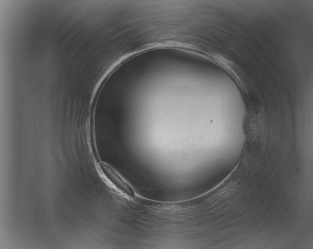 X0000056361100200509021741