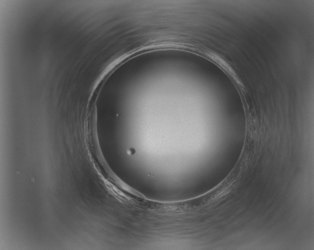 X0000056361101200509021741