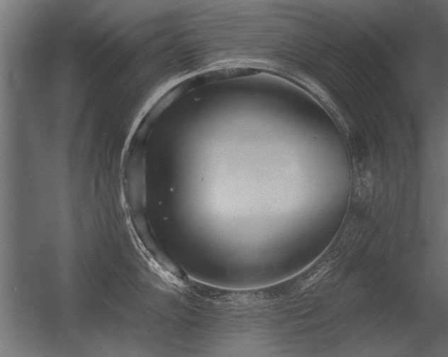 X0000056361102200509021741