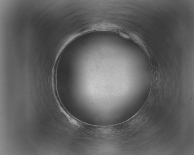 X0000056361103200509021741