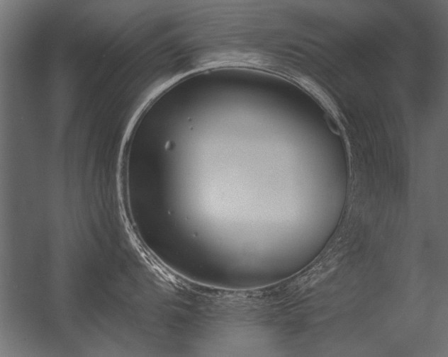 X0000056361104200509021741