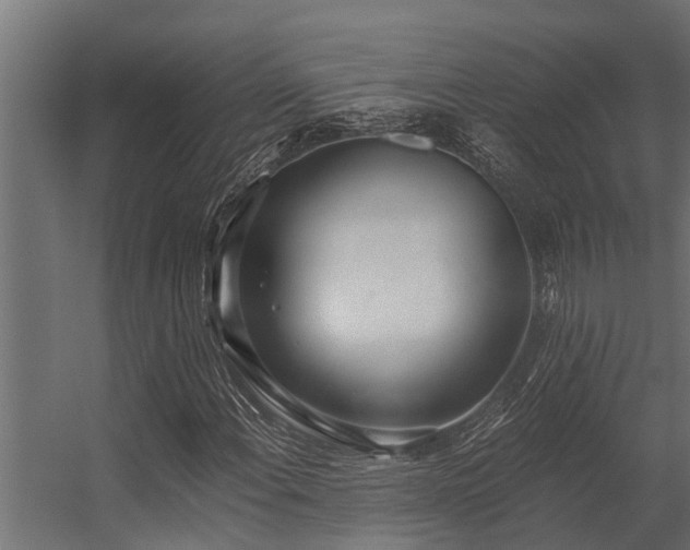 X0000056361108200509021741