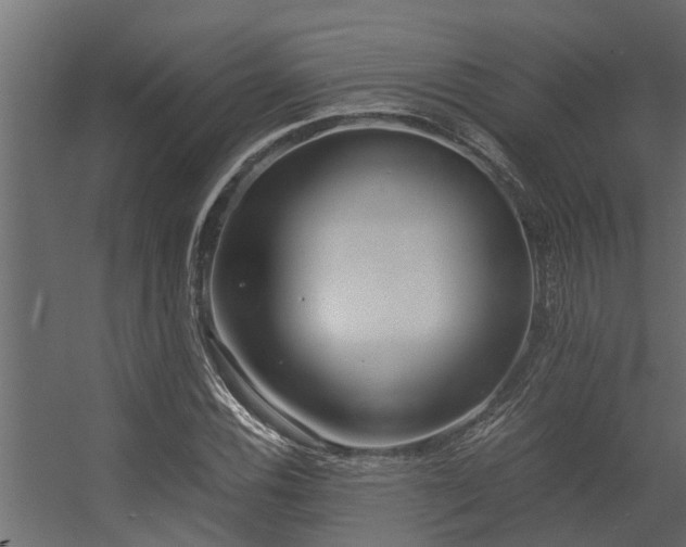 X0000056361116200509021741