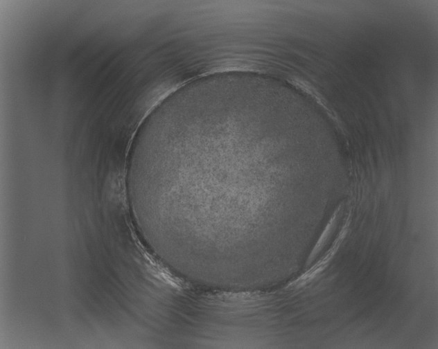 X0000056361121200509021741