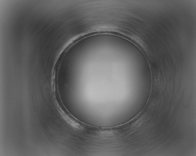 X0000056361126200509021741