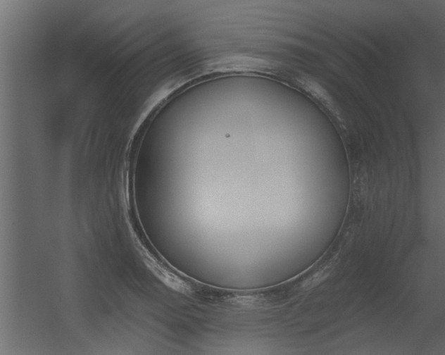 X0000056361130200509021741