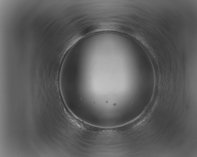 X0000056361137200509021741