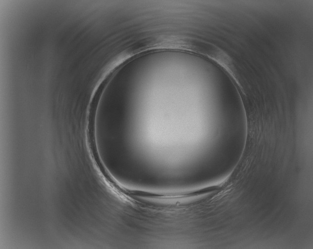 X0000056361139200509021741