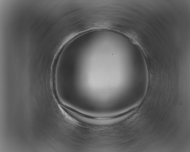 X0000056361143200509021741