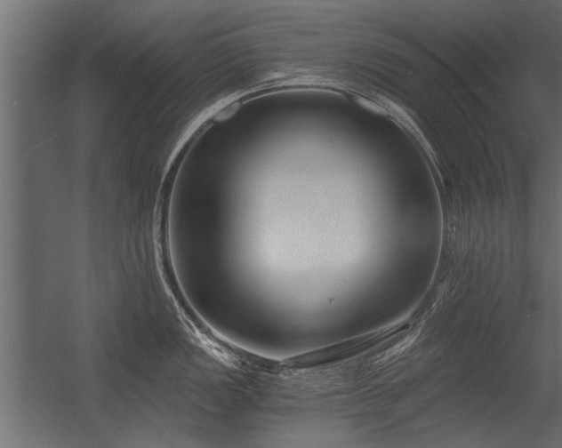 X0000056361149200509021741