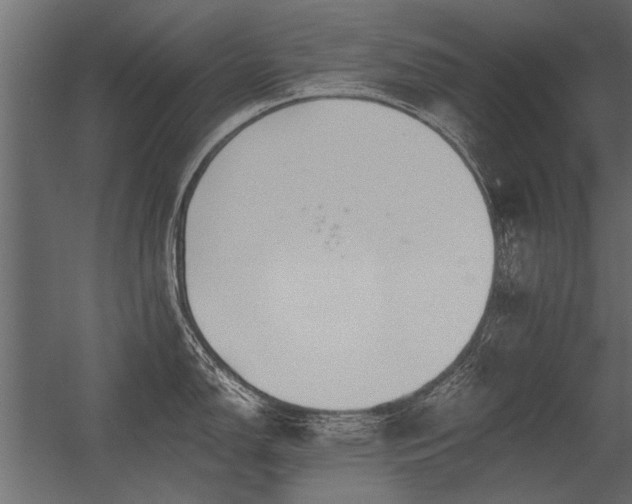 X0000056361150200509021741