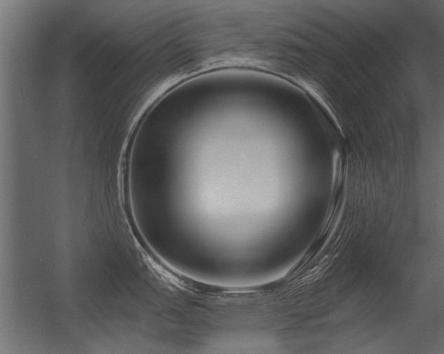 X0000056361151200509021741