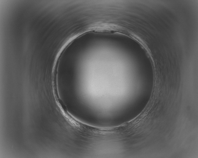 X0000056361152200509021741