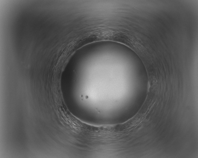 X0000056361153200509021740