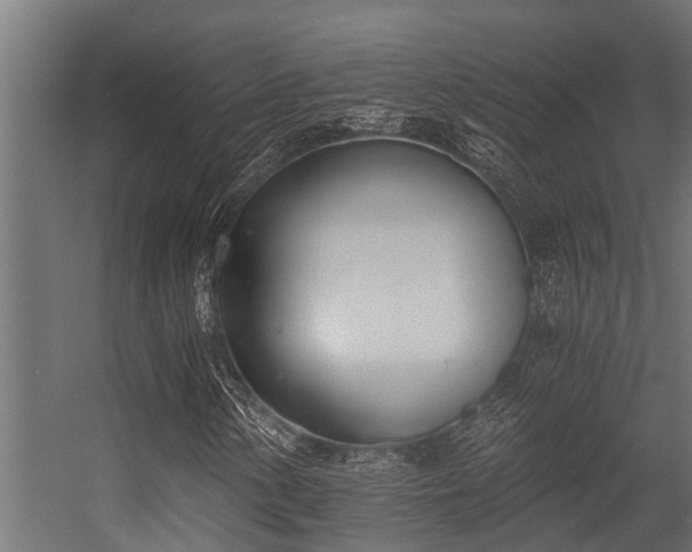 X0000056361154200509021740