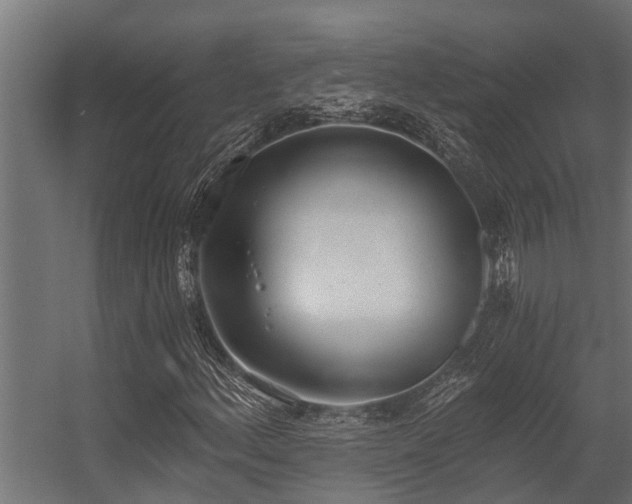 X0000056361156200509021740