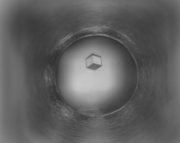 X0000056361158200509021740