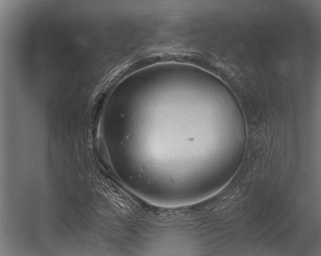 X0000056361159200509021740