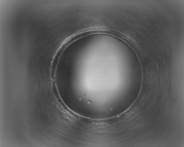 X0000056361168200509021740