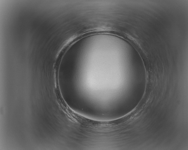 X0000056361171200509021740