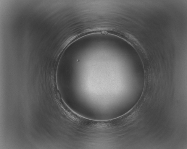 X0000056361177200509021740