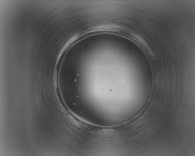 X0000056361180200509021740