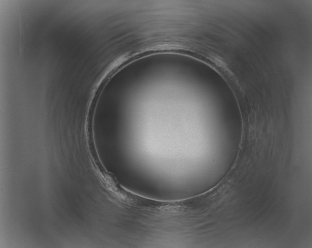 X0000056361181200509021740