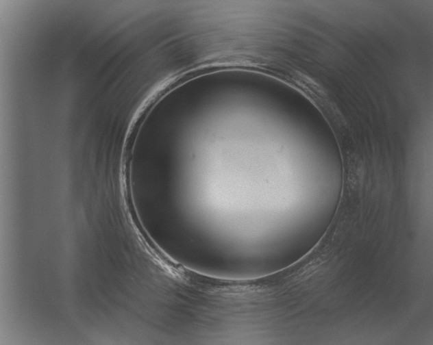 X0000056361188200509021740