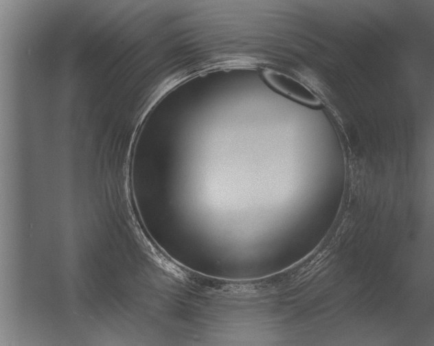 X0000056361194200509021740